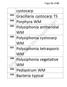 3).PERMANENTMICRO-PREPAREDSLIDES_page_11