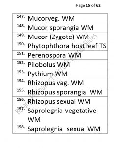 3).PERMANENTMICRO-PREPAREDSLIDES_page_15