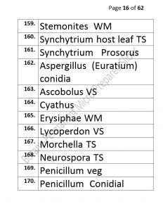 3).PERMANENTMICRO-PREPAREDSLIDES_page_16