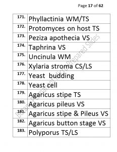 3).PERMANENTMICRO-PREPAREDSLIDES_page_17