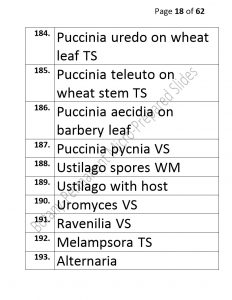 3).PERMANENTMICRO-PREPAREDSLIDES_page_18