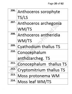 3).PERMANENTMICRO-PREPAREDSLIDES_page_20