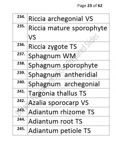 3).PERMANENTMICRO-PREPAREDSLIDES_page_23