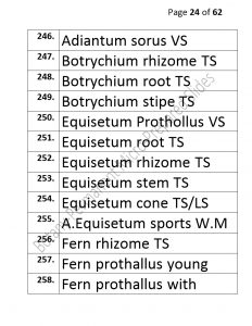 3).PERMANENTMICRO-PREPAREDSLIDES_page_24