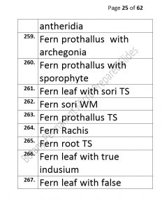 3).PERMANENTMICRO-PREPAREDSLIDES_page_25