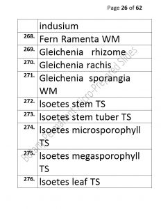 3).PERMANENTMICRO-PREPAREDSLIDES_page_26