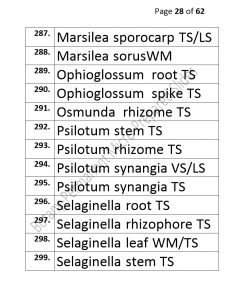 3).PERMANENTMICRO-PREPAREDSLIDES_page_28