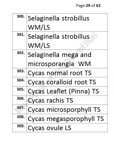 3).PERMANENTMICRO-PREPAREDSLIDES_page_29