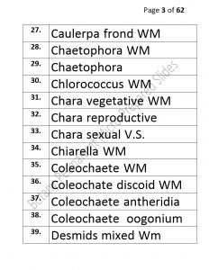 3).PERMANENTMICRO-PREPAREDSLIDES_page_3