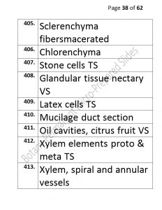 3).PERMANENTMICRO-PREPAREDSLIDES_page_38