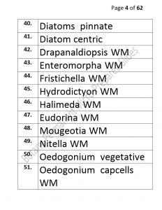 3).PERMANENTMICRO-PREPAREDSLIDES_page_4