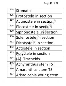 3).PERMANENTMICRO-PREPAREDSLIDES_page_40