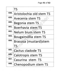 3).PERMANENTMICRO-PREPAREDSLIDES_page_41