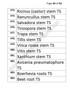 3).PERMANENTMICRO-PREPAREDSLIDES_page_44