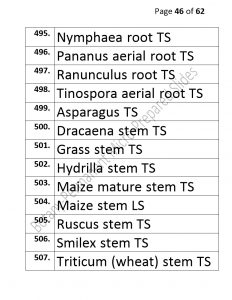 3).PERMANENTMICRO-PREPAREDSLIDES_page_46