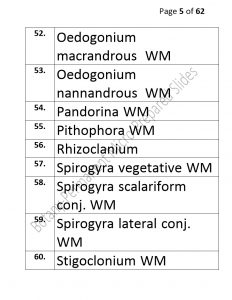 3).PERMANENTMICRO-PREPAREDSLIDES_page_5