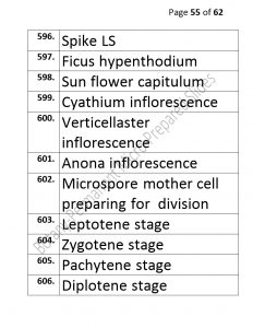 3).PERMANENTMICRO-PREPAREDSLIDES_page_55