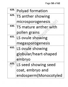 3).PERMANENTMICRO-PREPAREDSLIDES_page_58