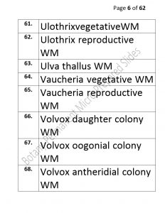 3).PERMANENTMICRO-PREPAREDSLIDES_page_6