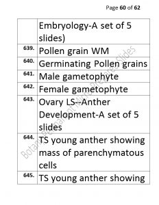 3).PERMANENTMICRO-PREPAREDSLIDES_page_60