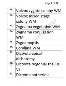 3).PERMANENTMICRO-PREPAREDSLIDES_page_7