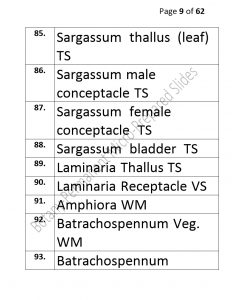 3).PERMANENTMICRO-PREPAREDSLIDES_page_9