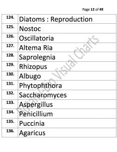 Bio Visual Charts (12)