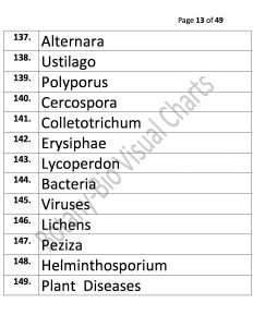 Bio Visual Charts (13)