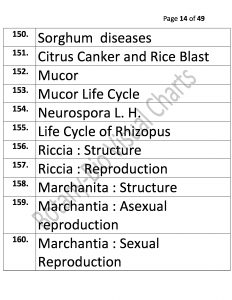 Bio Visual Charts (14)