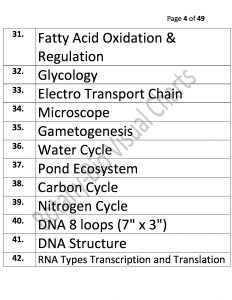 Bio Visual Charts (4)