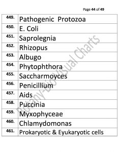 Bio Visual Charts (44)