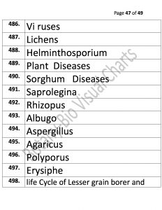 Bio Visual Charts (47)