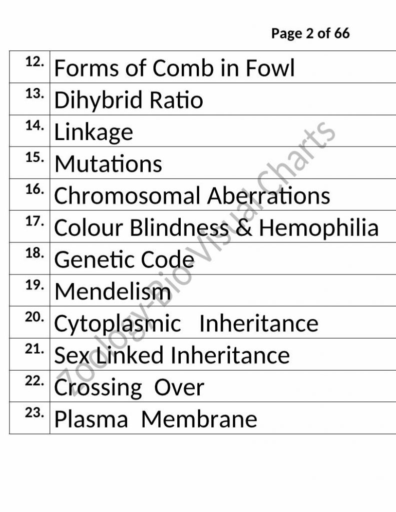 Bio-Visual Charts Labinstro Exporters Manufacture in India