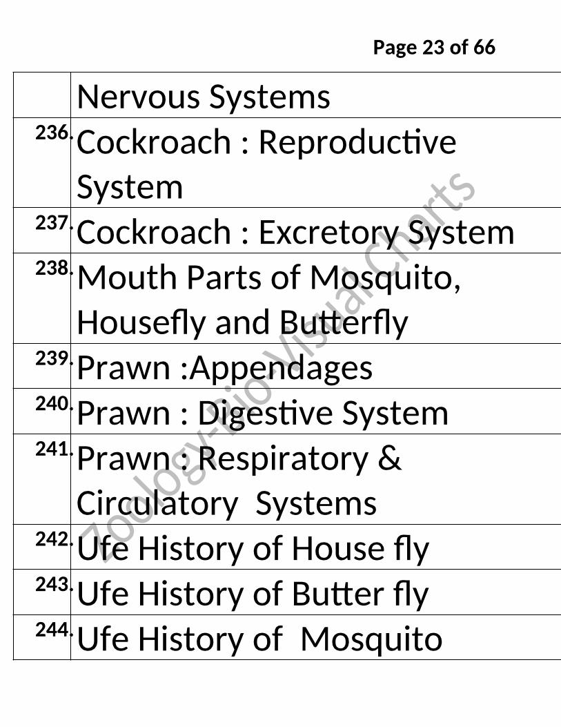 Bio-Visual Charts Labinstro Exporters Manufacture in India