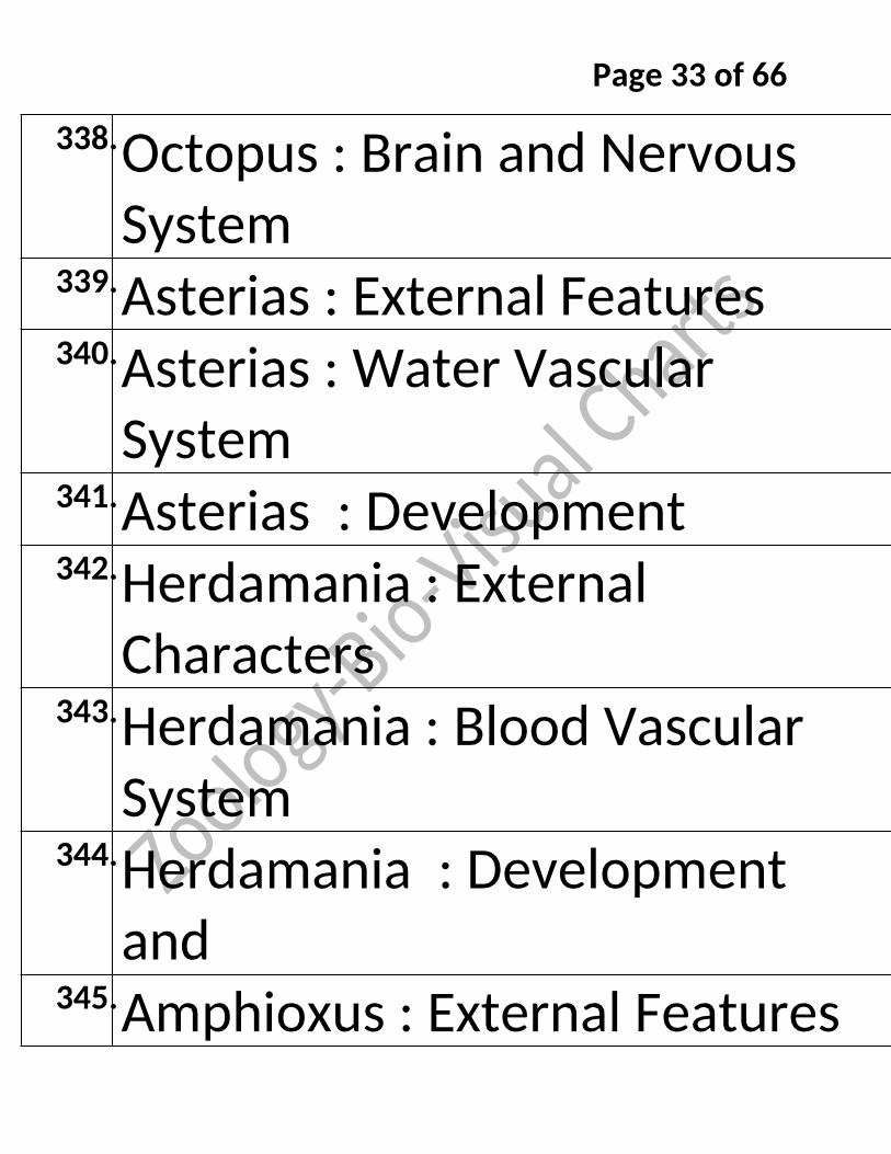 Bio-Visual Charts Labinstro Exporters Manufacture in India