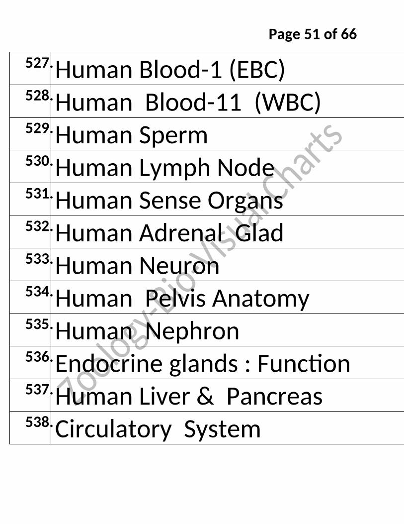 Bio-Visual Charts Labinstro Exporters Manufacture in India