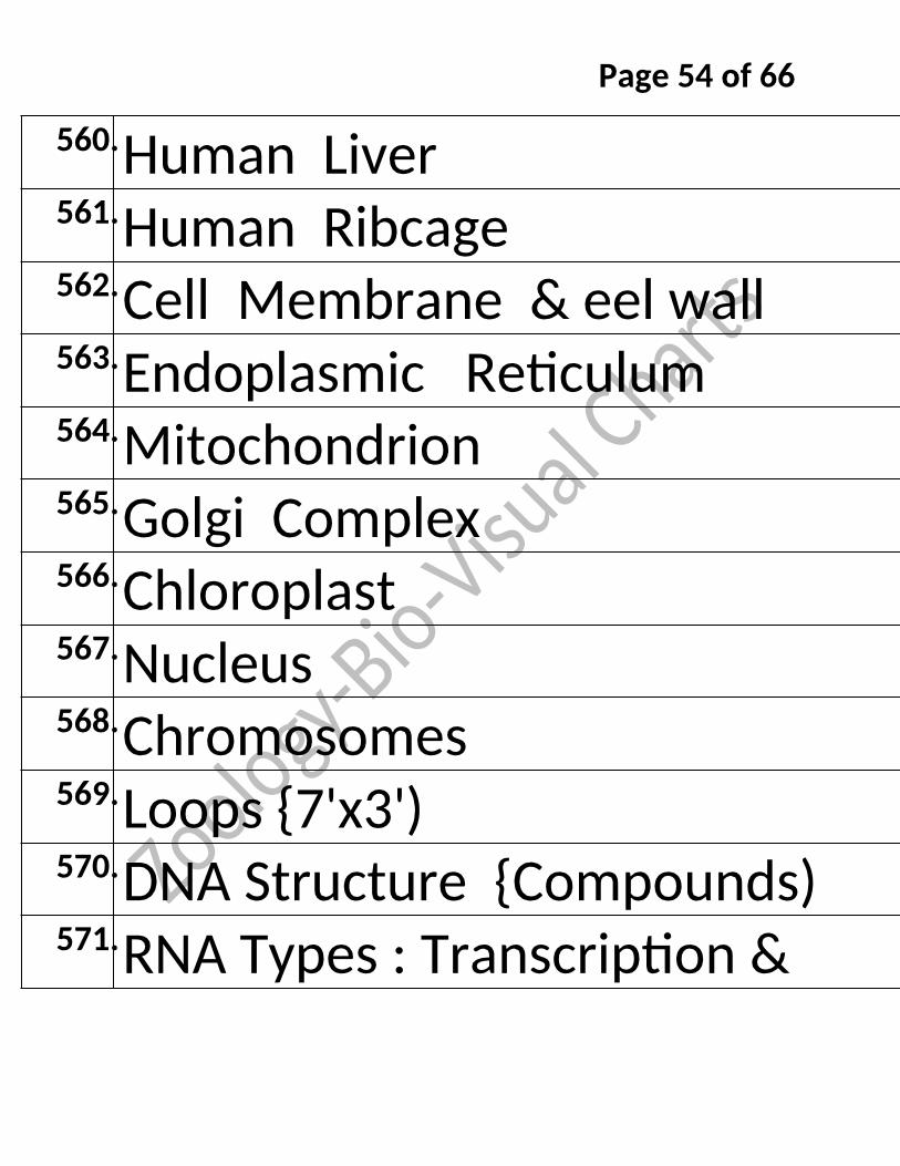 Bio-Visual Charts Labinstro Exporters Manufacture in India