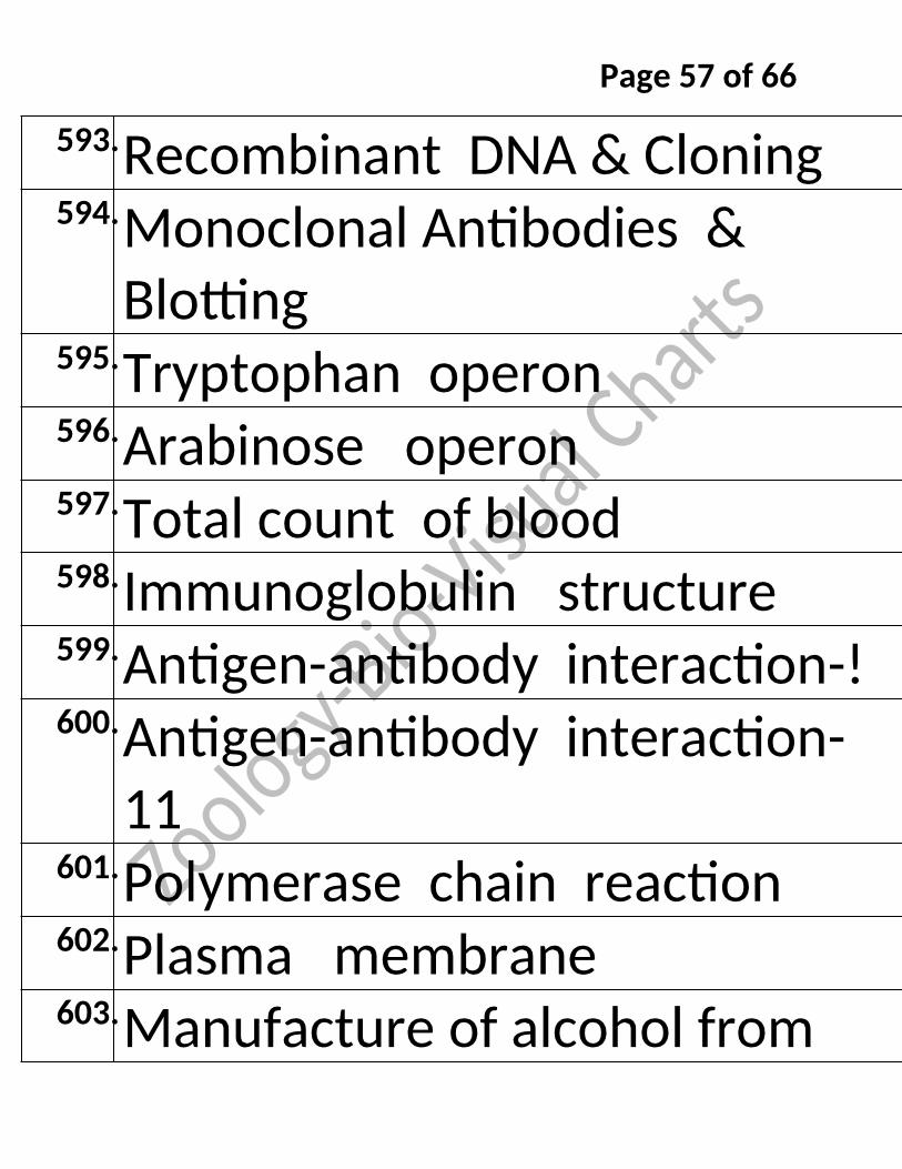 Bio-Visual Charts Labinstro Exporters Manufacture in India