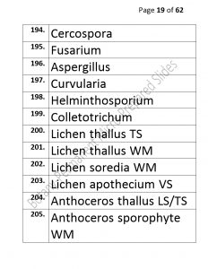 3).PERMANENTMICRO-PREPAREDSLIDES_page_19