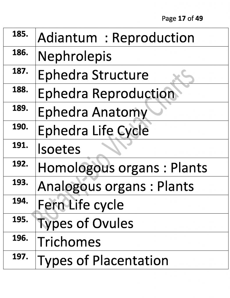 Bio Visual Charts Labinstro Exporters Manufacture in India